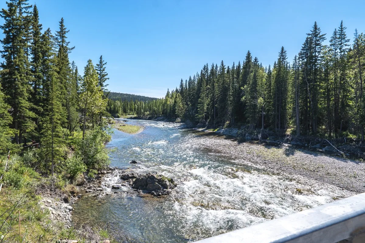 Real photograph of the Elbow River and forest at Bragg Creek