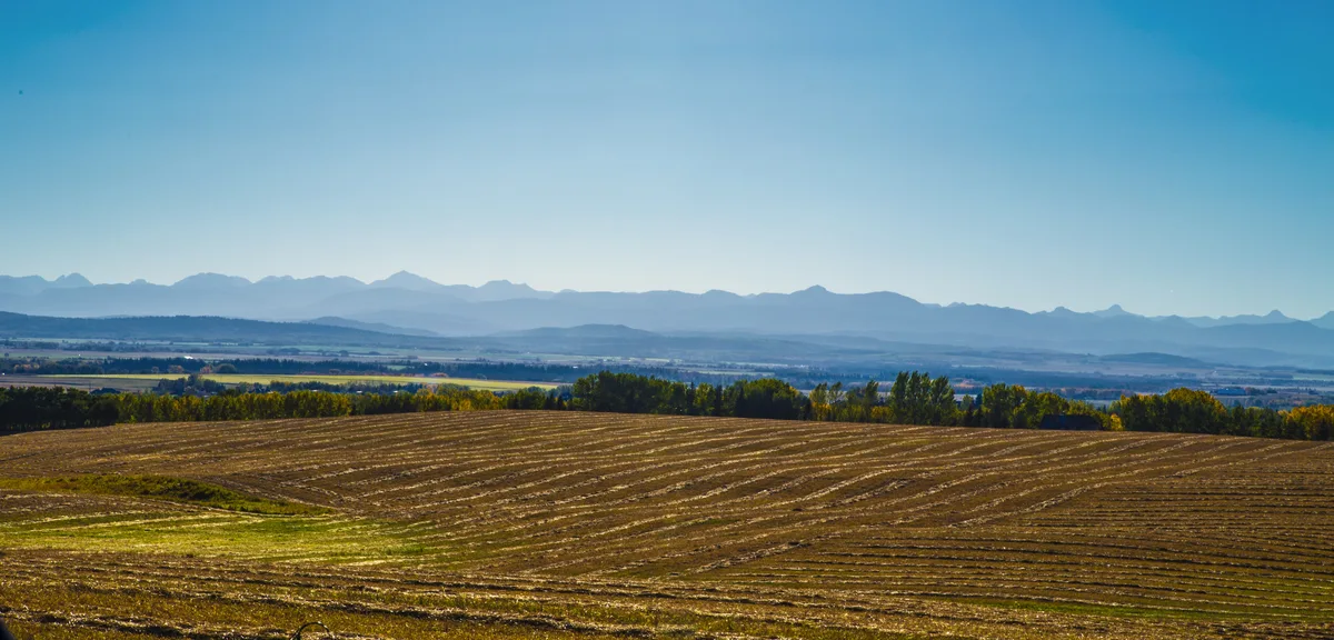 Real Springbank hayfields with acreage homes and the Rocky Mountain front ranges on the horizon